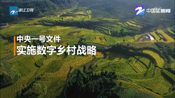 浙江卫视：乡村，如何在“数字”下变样