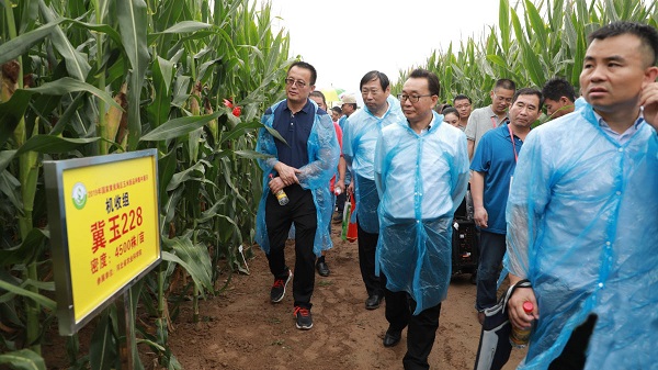 2019年国家黄淮海区玉米新品种展示示范观摩暨品种试验培训班在豫举行