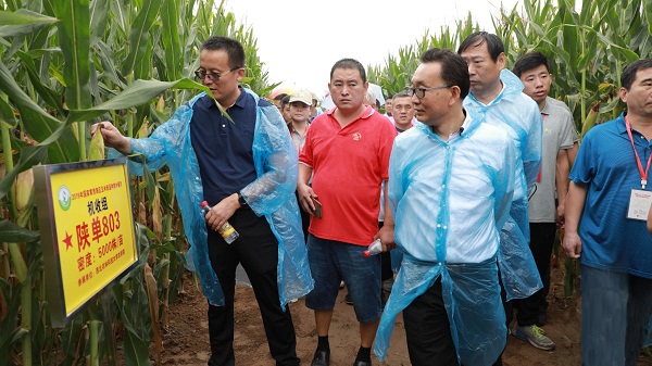 2019年国家黄淮海区玉米新品种展示示范观摩暨品种试验培训班在豫举行