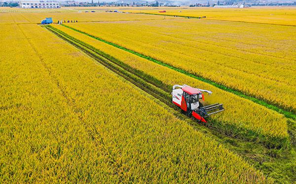 “古林优质高效水稻大田种植数字农业技术集成示范项目”